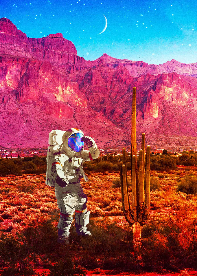 In The Search