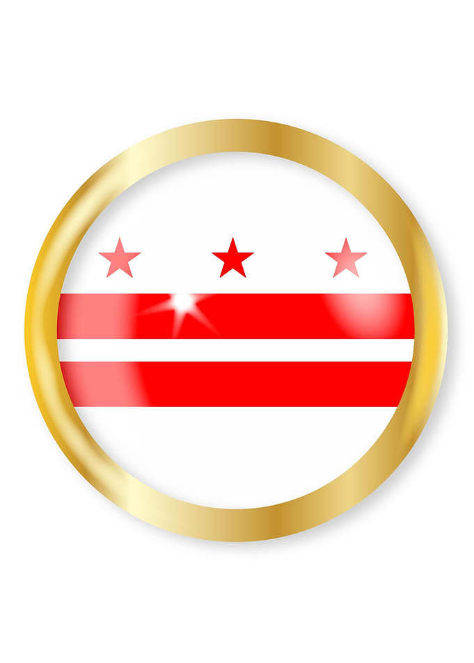 Washington DC Flag Button
