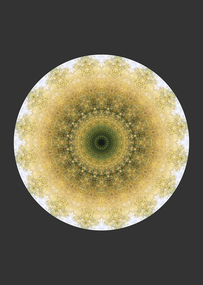 Composition 655