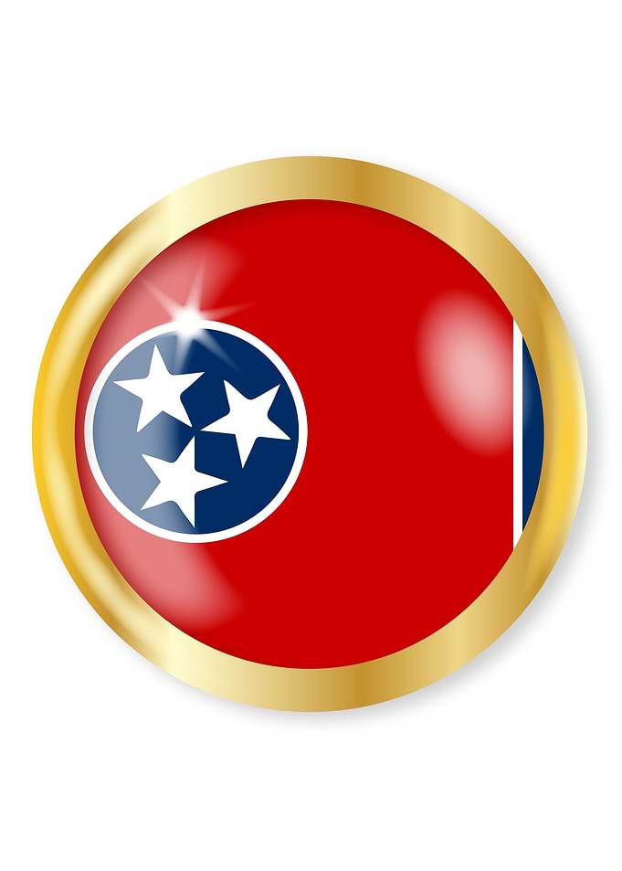 New York Flag Button