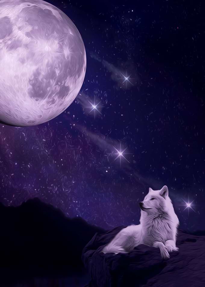 Calming Nights