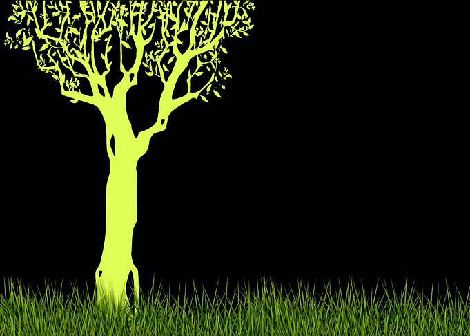 Tree 3