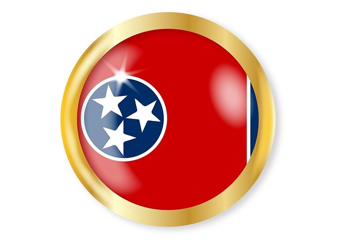 New York Flag Button