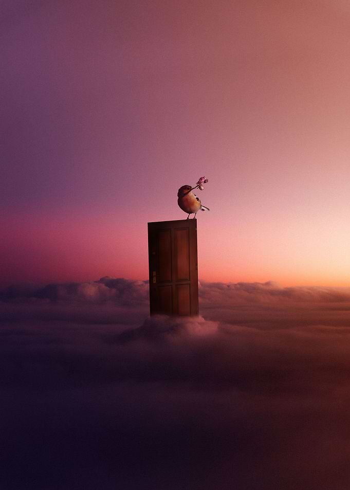 New Dimensions