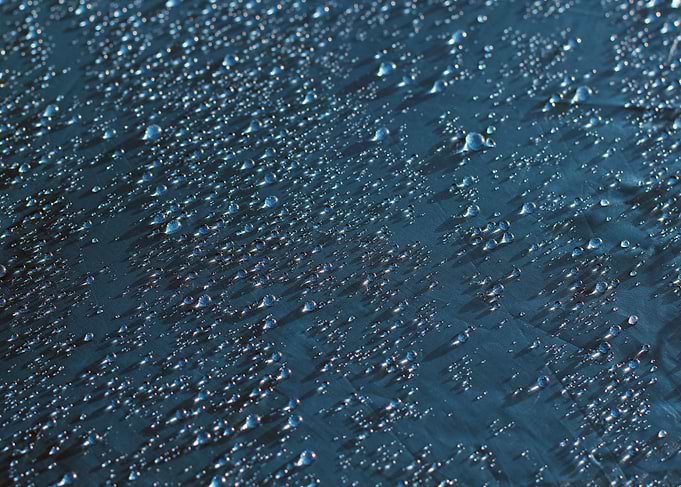 Morning Dew On Blue