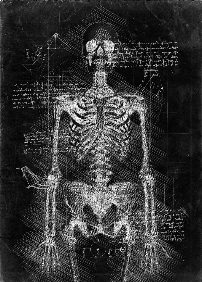 Skeleton