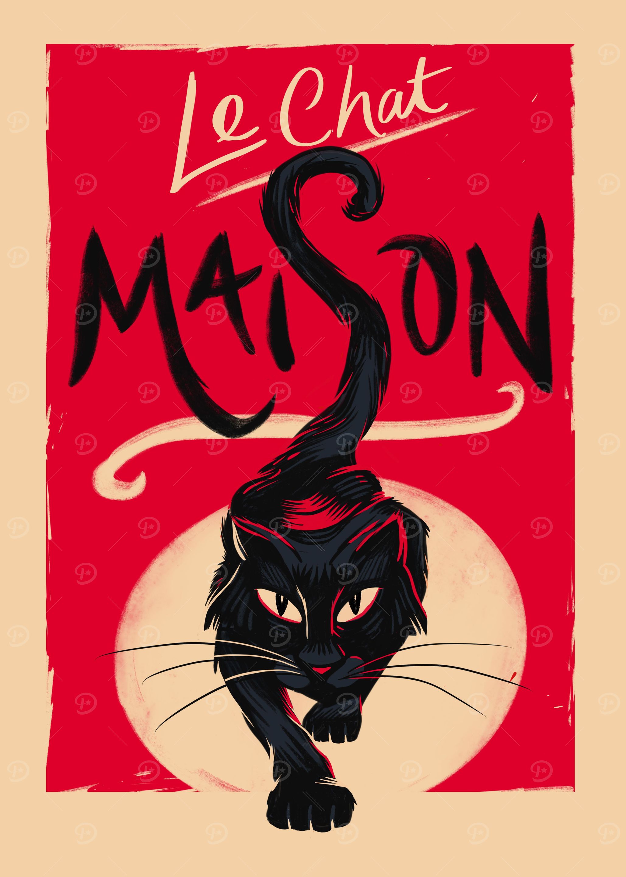 The House Cat