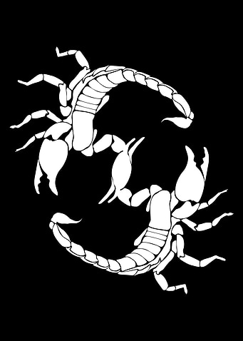 S For Scorpion