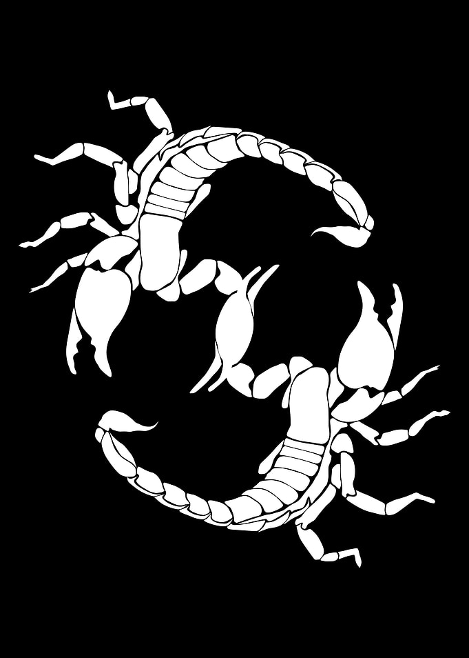 S For Scorpion