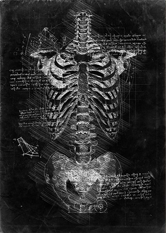 Skeleton2