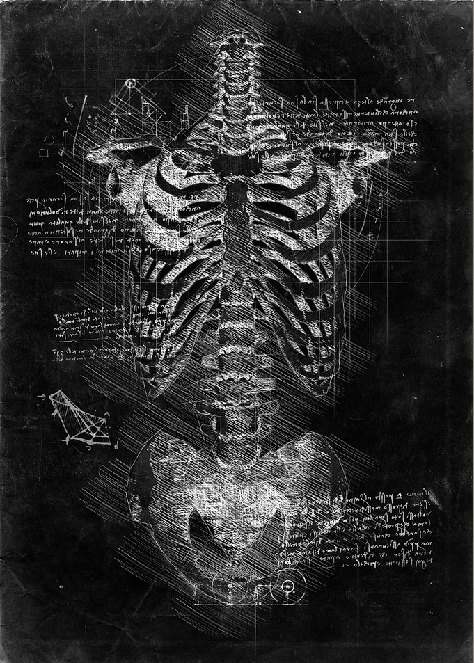 Skeleton2