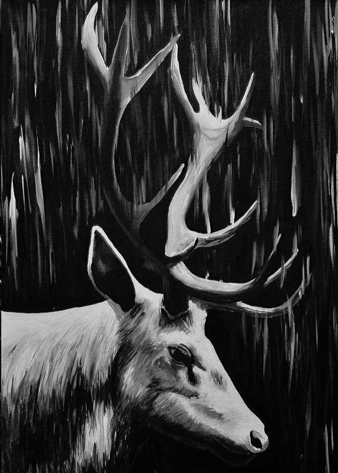 Stag