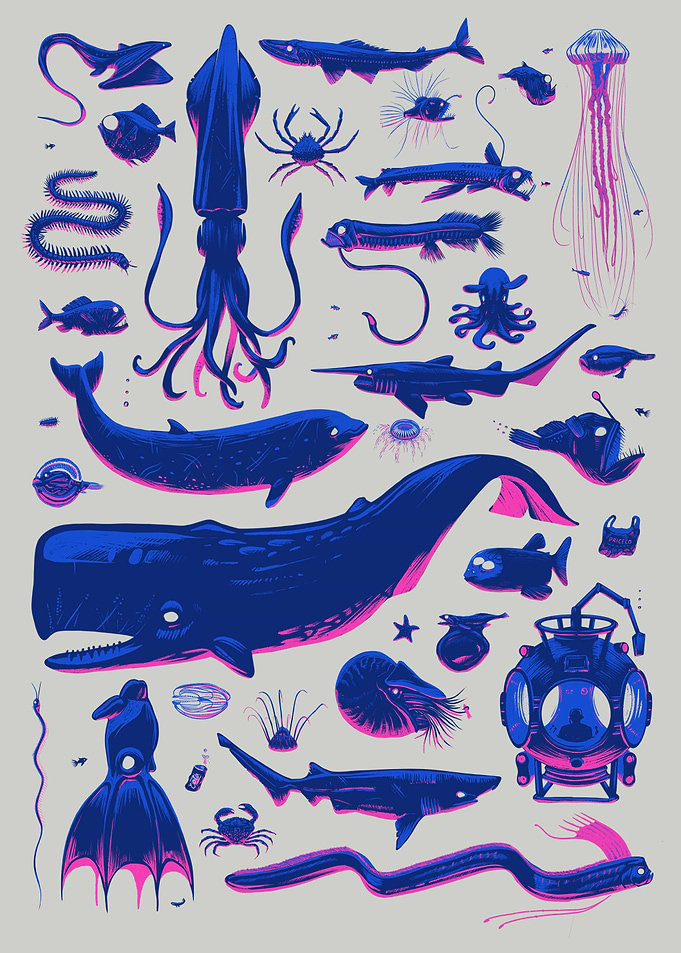 Creatures of the deep