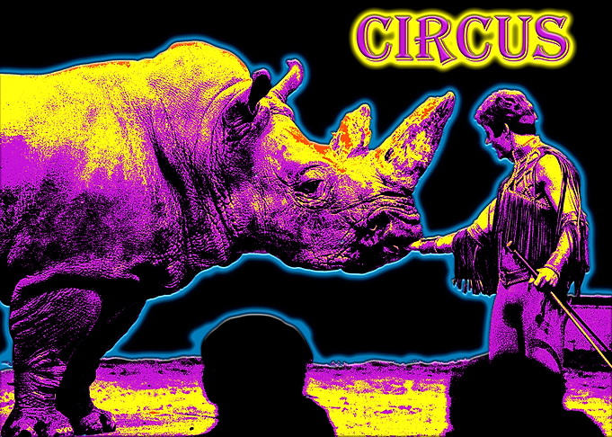 Circus rhinotamer