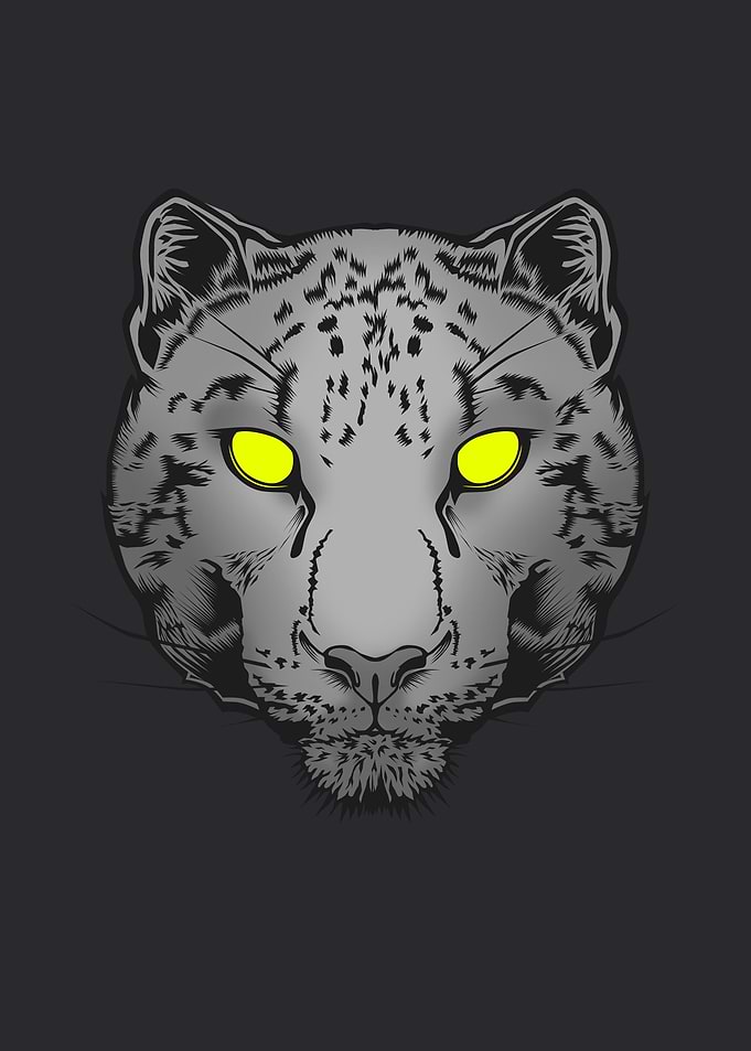 Snow Leopard