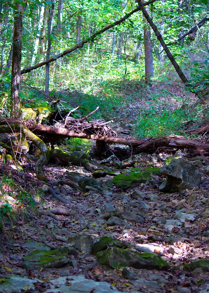 The Creek