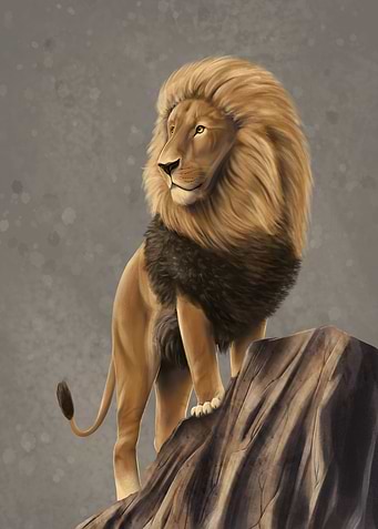 Male lion on watch