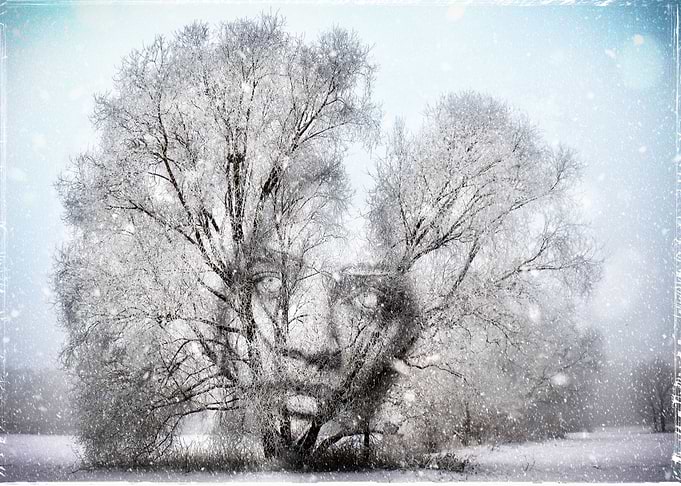 Lady Winter