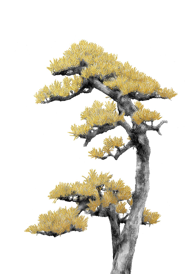 Minimal Bonsai 04