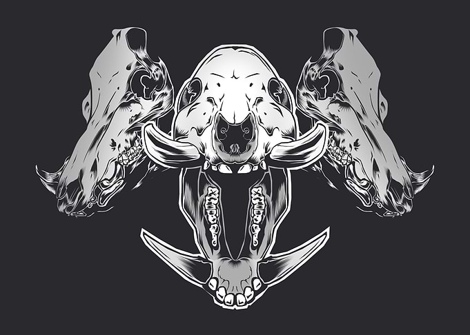 Boar Skulls