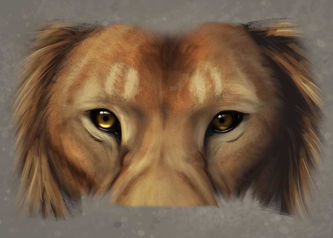 Lion mugshot