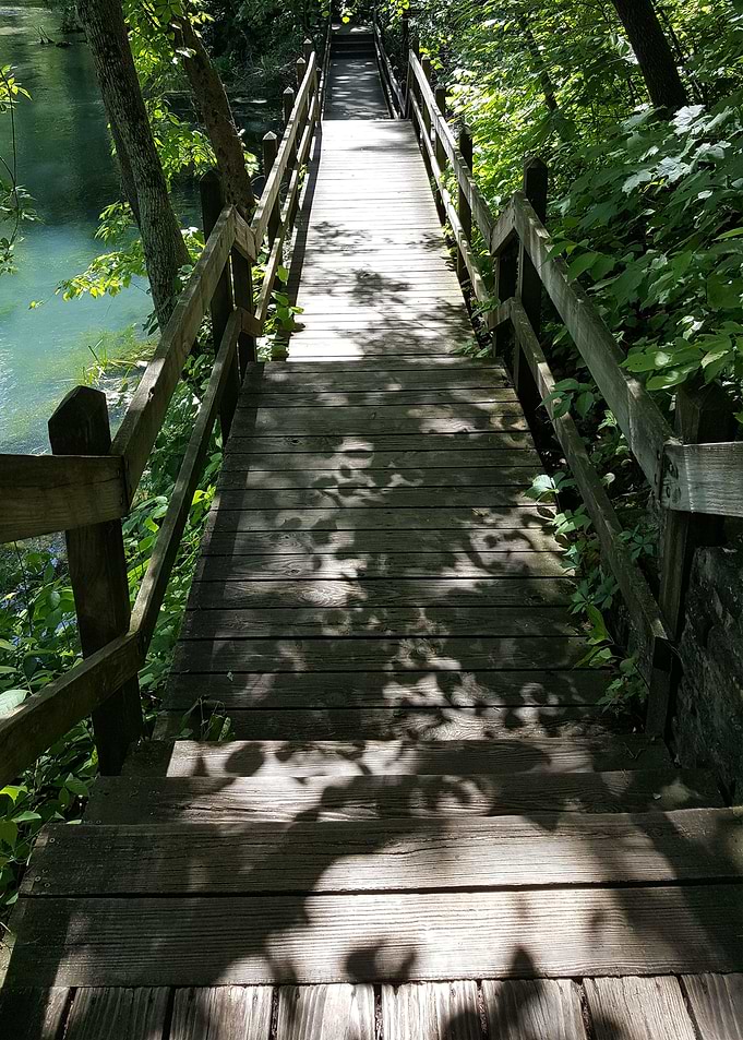 The Bridge