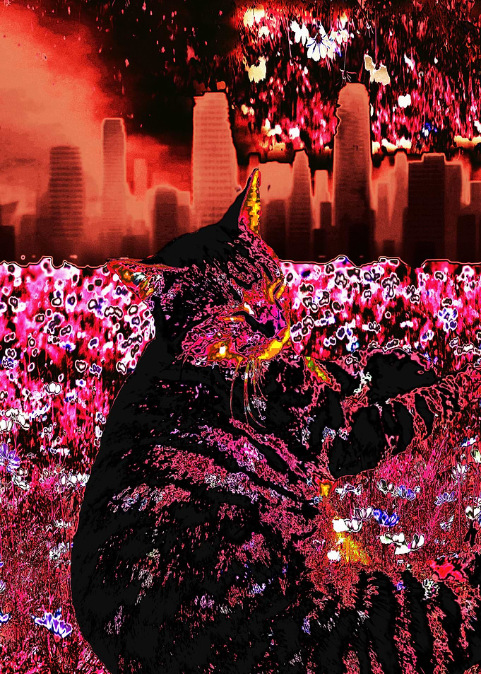 Dead City Red Cat