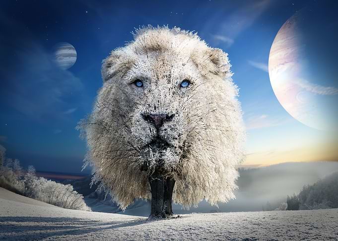Leo
