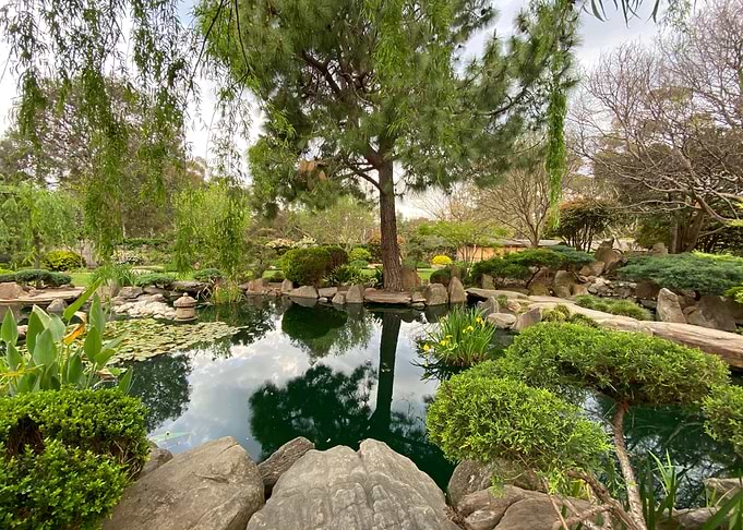 Japanese garden 2