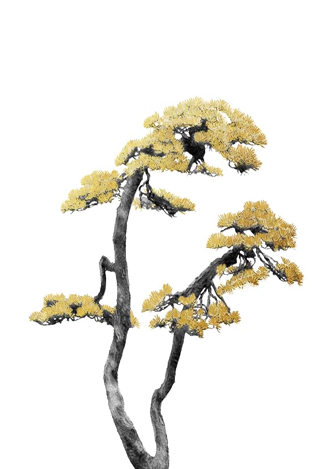 Minimal Bonsai 06