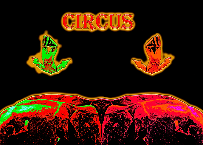 Circus acrobatic