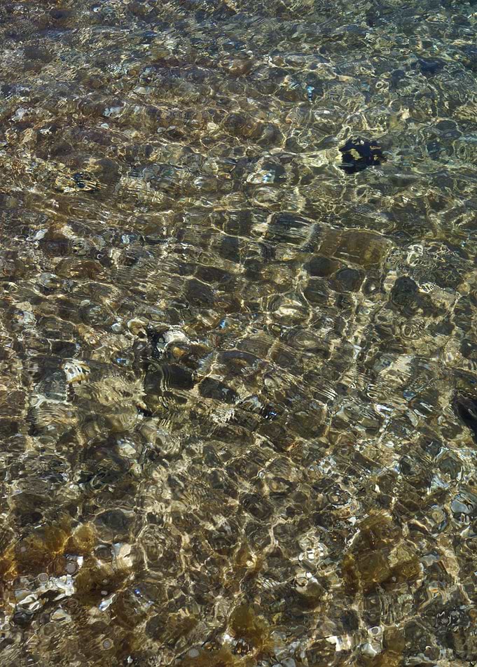Reflections 1