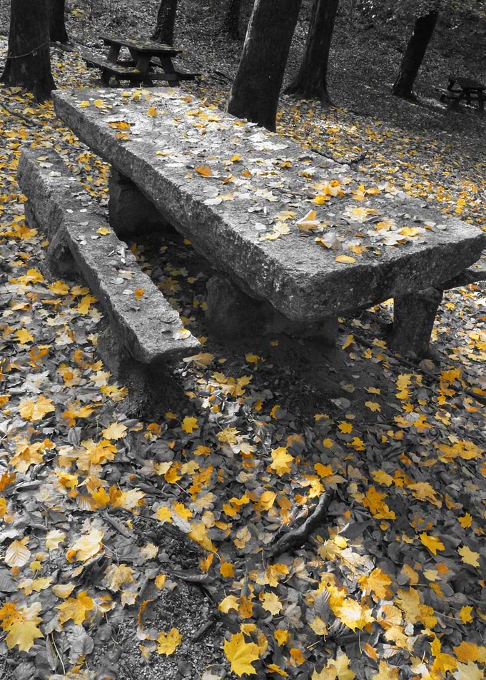 Fall Picnic