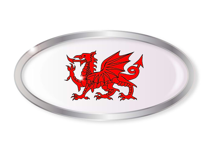 Welsh Dragon Oval Button
