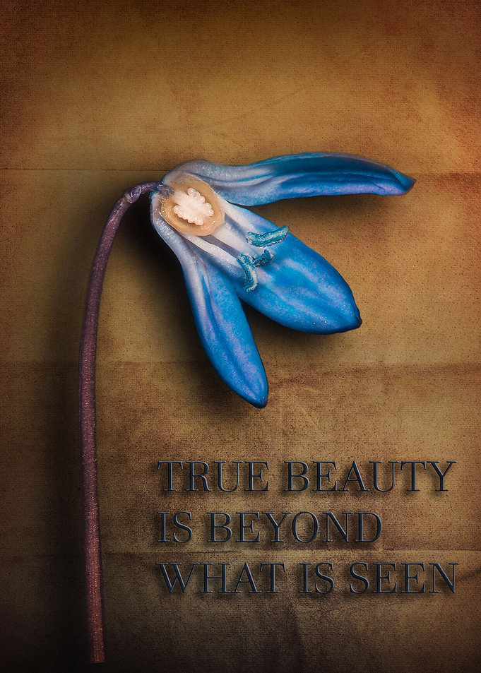 Inner Beauty