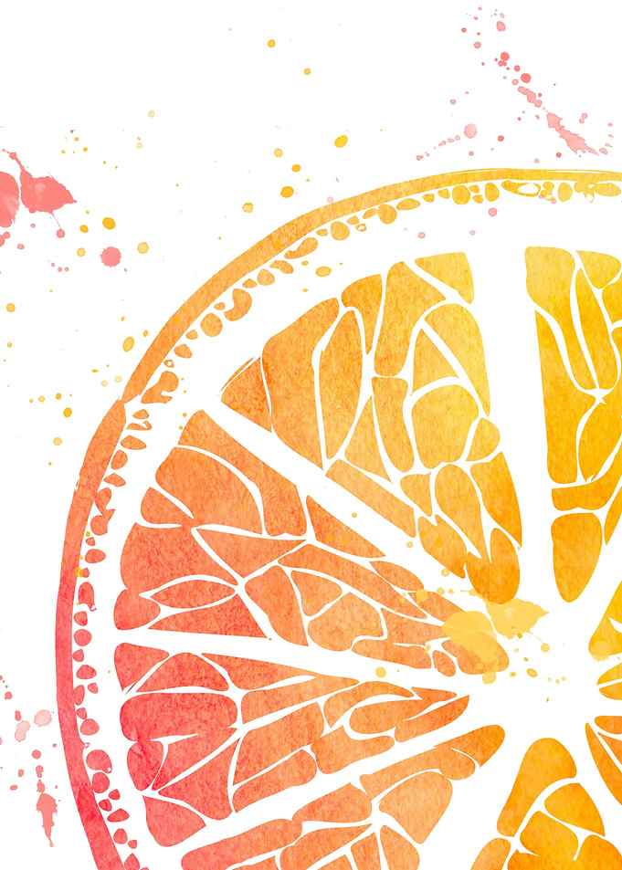 watercolour orange fruit