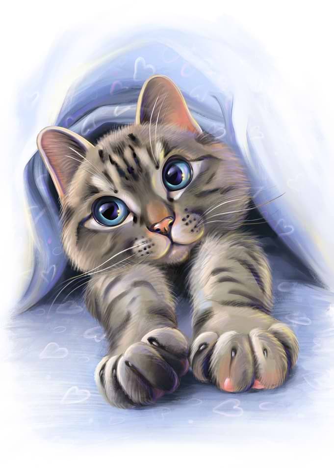 Tabby cat