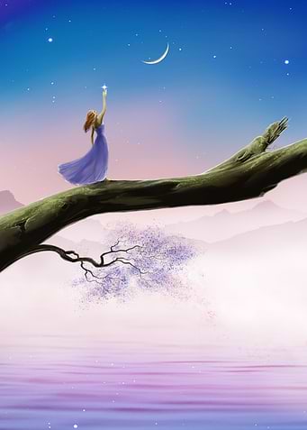 Reach for the stars