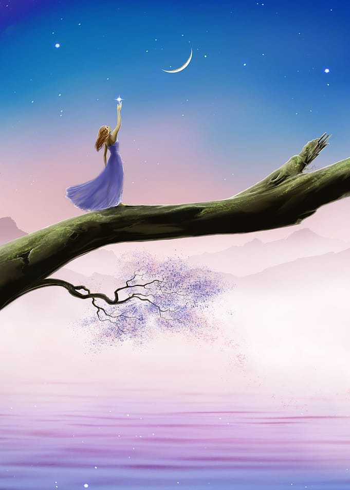 Reach for the stars