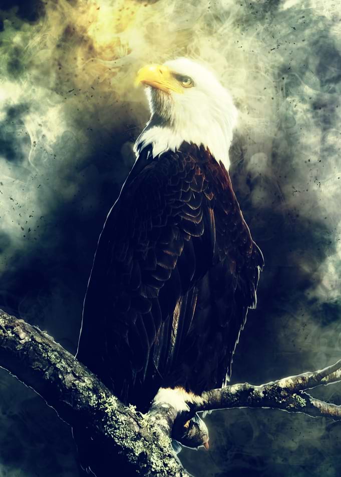 Eagle