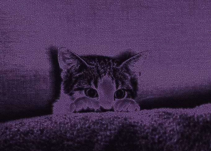 Who is there