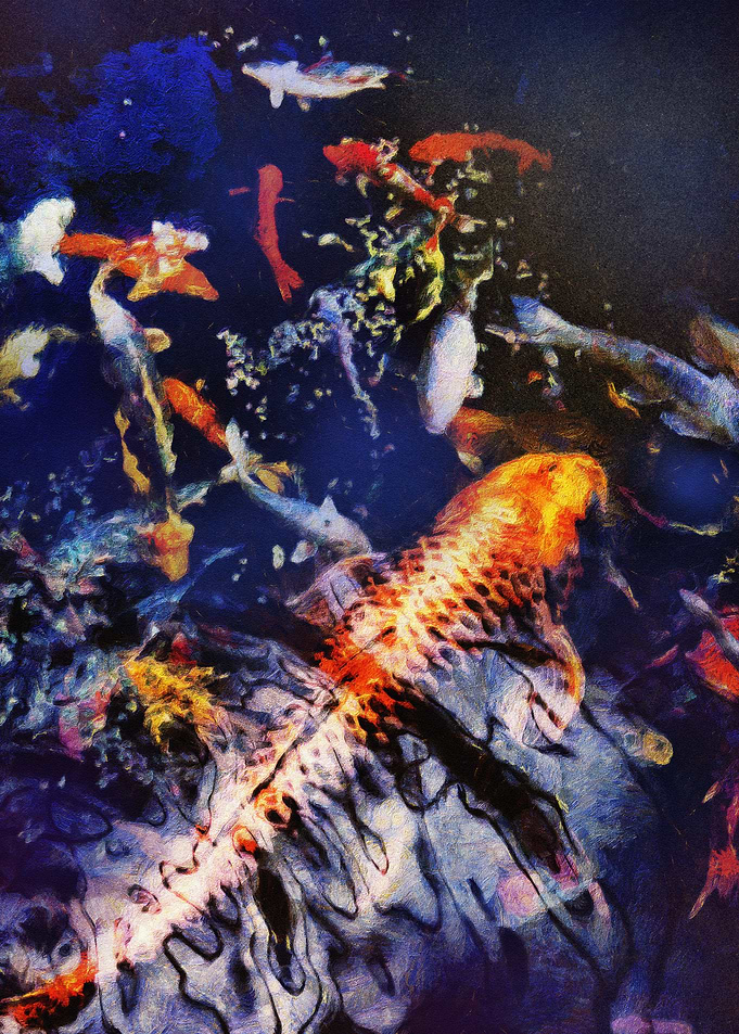 Koi art