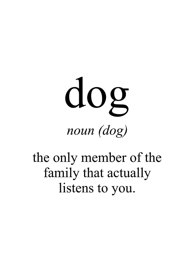Dog Meaning