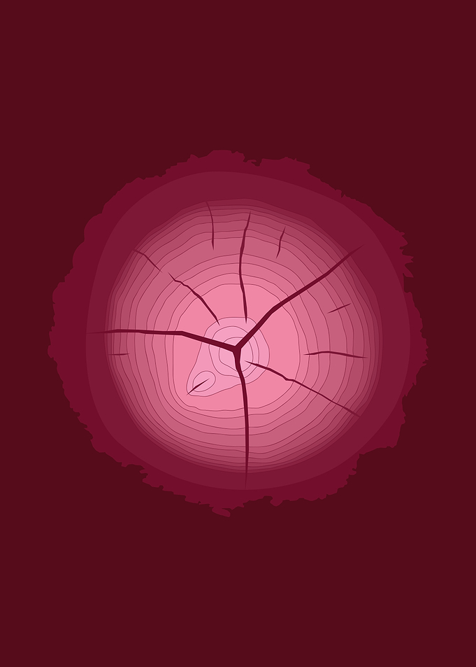 Tree Rings
