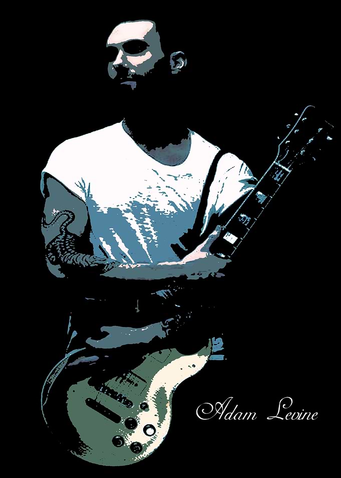 Adam Levine Guitar Sign