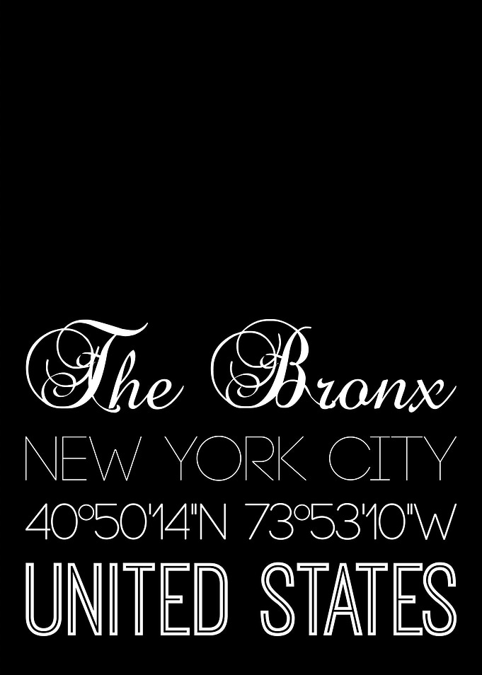 The Bronx On Black