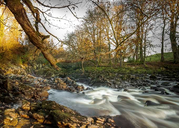 River finn