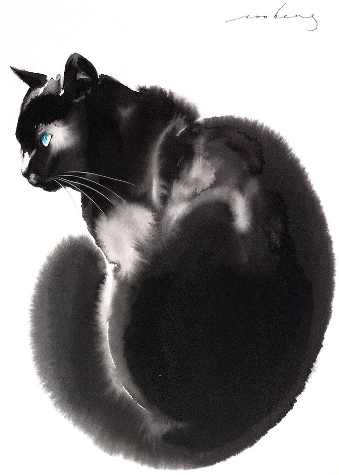 Indy Cat