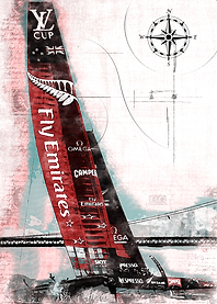 Catamaran Sailing Contest