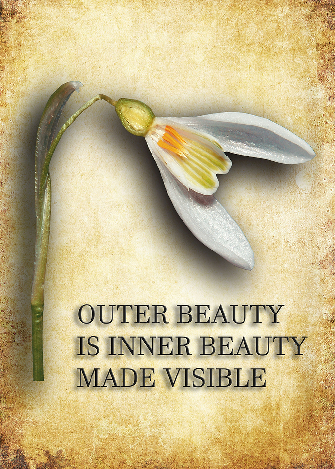 Inner Beauty 2